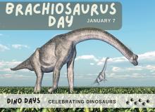 Brachiosaurus Day