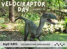 Velociraptor Day