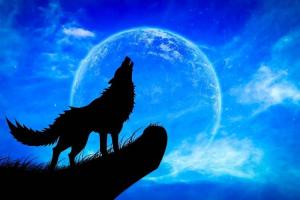 Worldwide Howl at the Moon Night