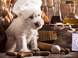 National Cook For Your Pets Day